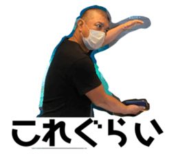 338553431