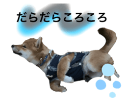 338571802
