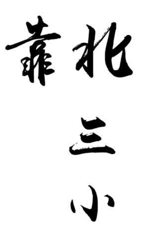 338634848