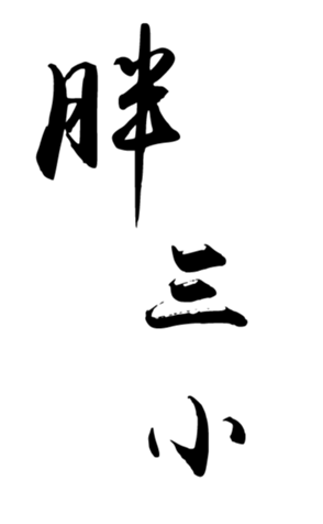 338634861