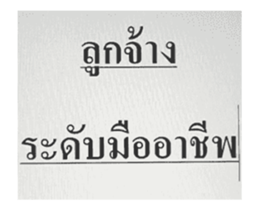 338675931