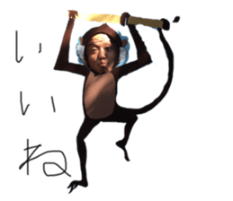 338777559