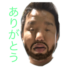 338777565