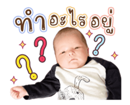 338787309