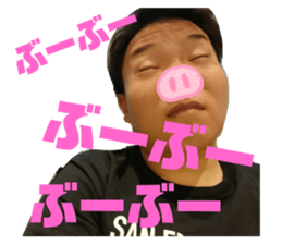 338794198