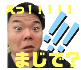 338794202