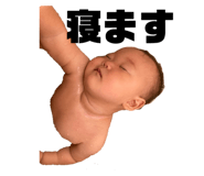 338797662