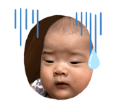 338802791