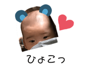 338802792
