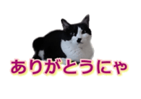 338891697