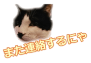 338891707