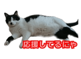 338891732
