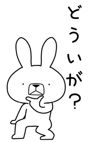 338909062