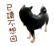 33893512