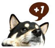 33893542