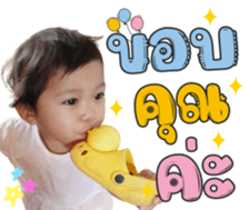 339000769
