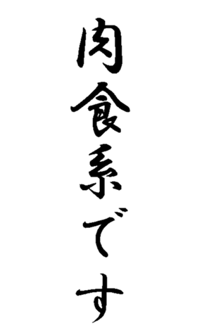 339057375