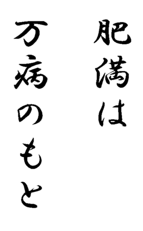 339057396