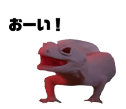 339076265