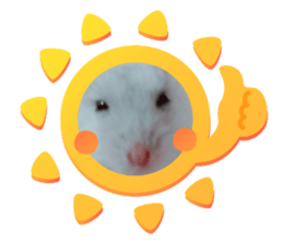 339129038