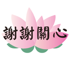 33913256