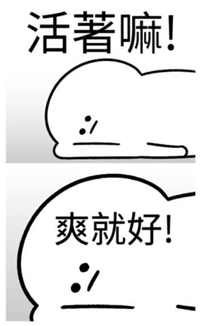 339156241