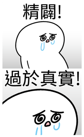 339156244