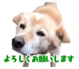 339156410
