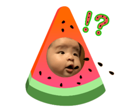339301835