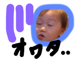 339307256