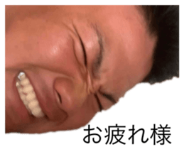 339318066