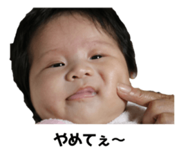 339329913