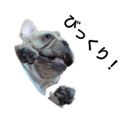 339331480