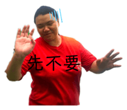 339334744