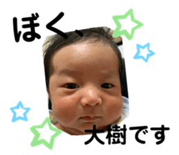 339339649