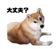 339358412