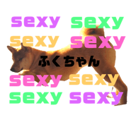 339358414