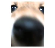 339358424