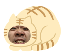 339359593