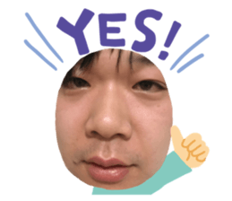 339359597