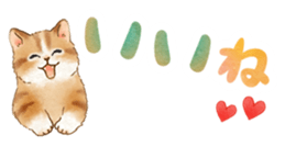 339361296