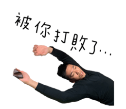 339381726
