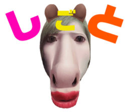 339383555