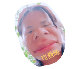 339399392