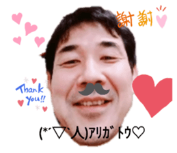 339401133