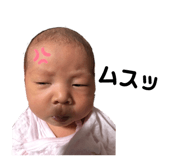 339405195