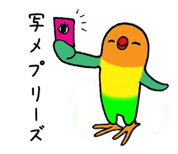 3394437