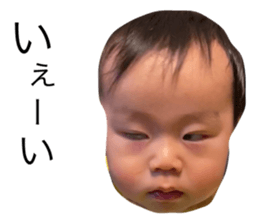 339474221