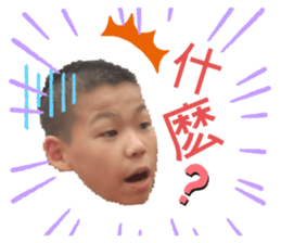 339477011