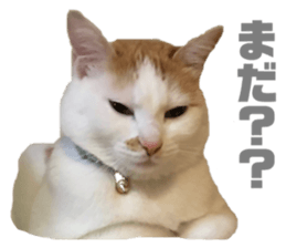 339496302